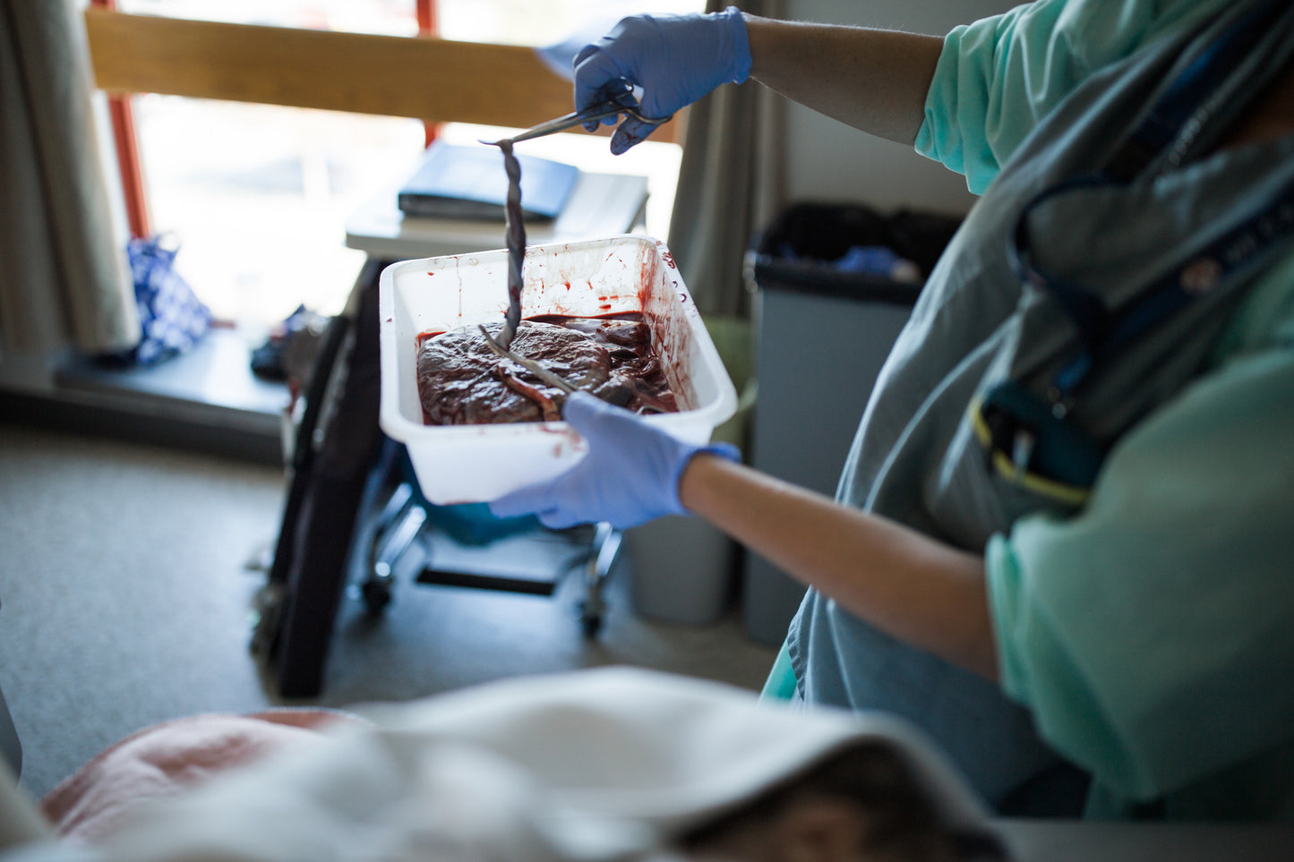 Placenta Encapsulation Services